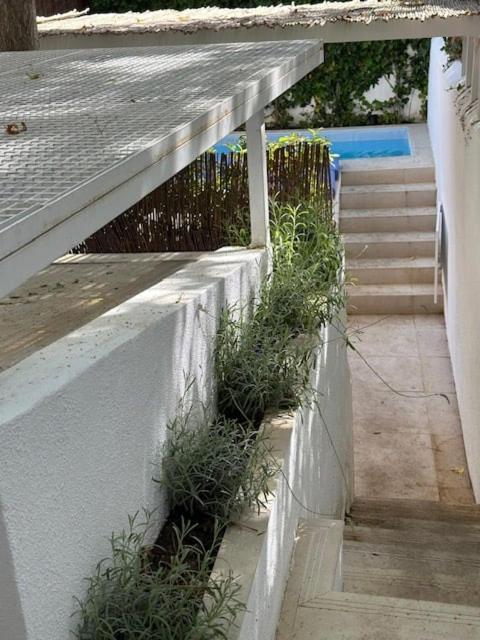 Cozy 1br, Private Terrace & Pool - Estrela | By Airnest Appartement Lisboa